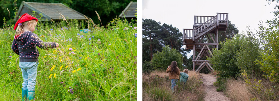 Kinderen verkennen de natuur: links een meisje met rode pet en laarzen tussen wilde bloemen, rechts twee kinderen lopend richting een houten uitkijktoren in een groen landschap.