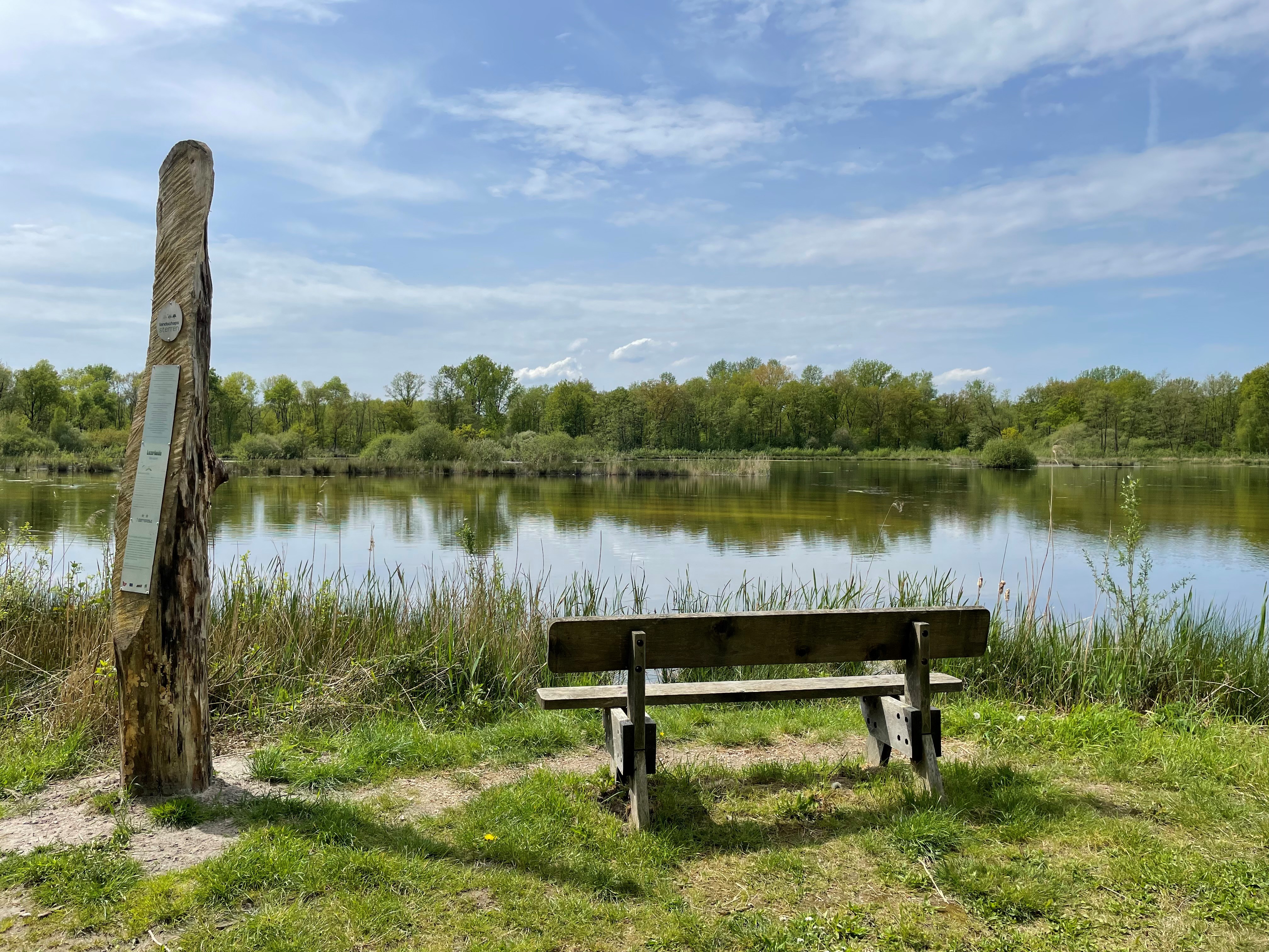 Bench by the water