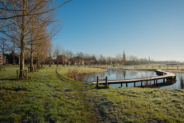 Krom houten wandelpad over het water in een winters grasland bij Buggenum, met bomen en de kerktoren op de achtergrond.