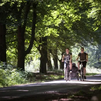 Twee jongemannen fietsen over een schaduwrijk pad door een groen bos met zonlicht tussen de bladeren.